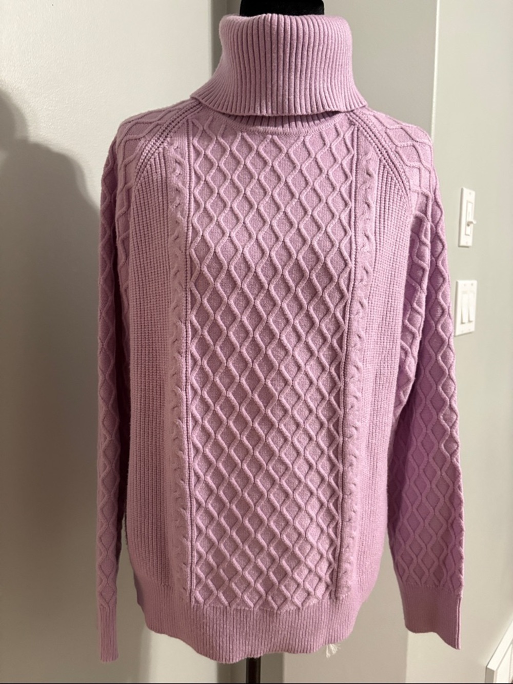 NWOT Alison Sheri Cozy Cable-Knit Turtleneck Sweater in Dusty Pink